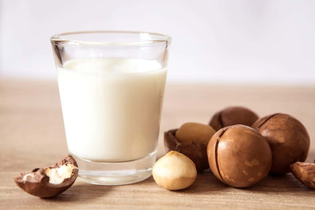 ¿Las nueces de macadamia son buenas para el embarazo? Las ventajas