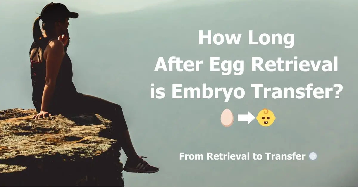¿Cuánto tiempo tarda la transferencia de embriones después de la extracción de los óvulos?