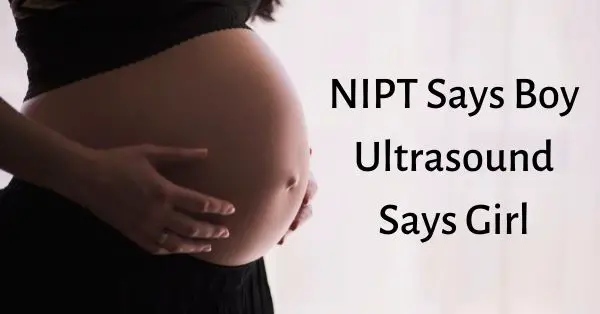 NIPT dice niño, ultrasonido dice niña