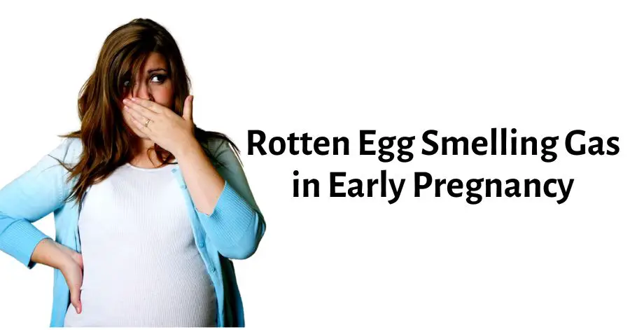 Gas con olor a huevo podrido al principio del embarazo: causas y soluciones