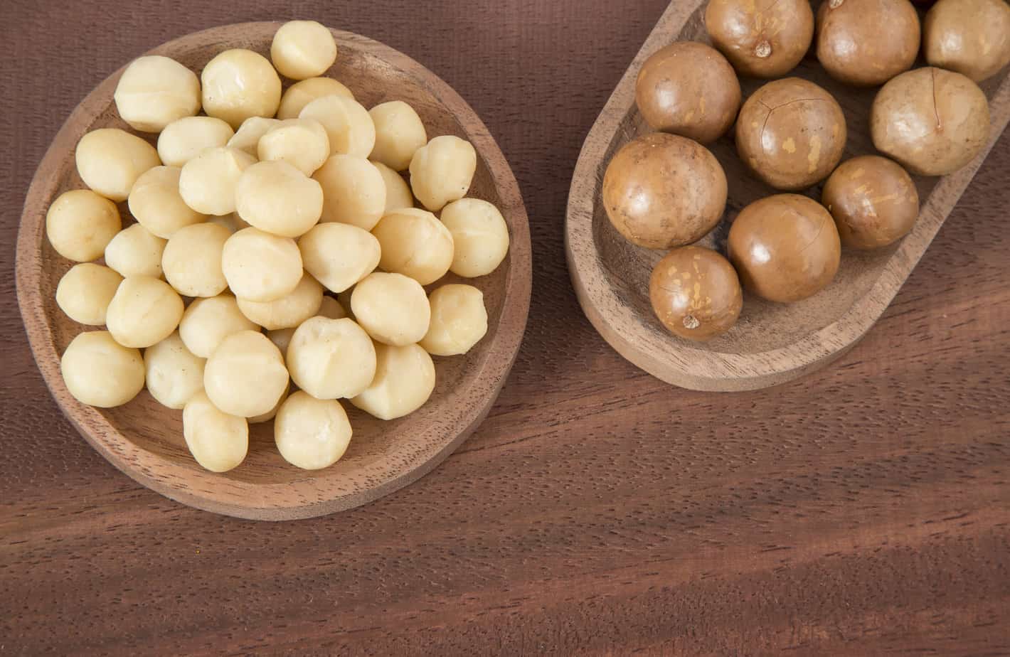 ¿Las nueces de macadamia son buenas para el embarazo? Las ventajas