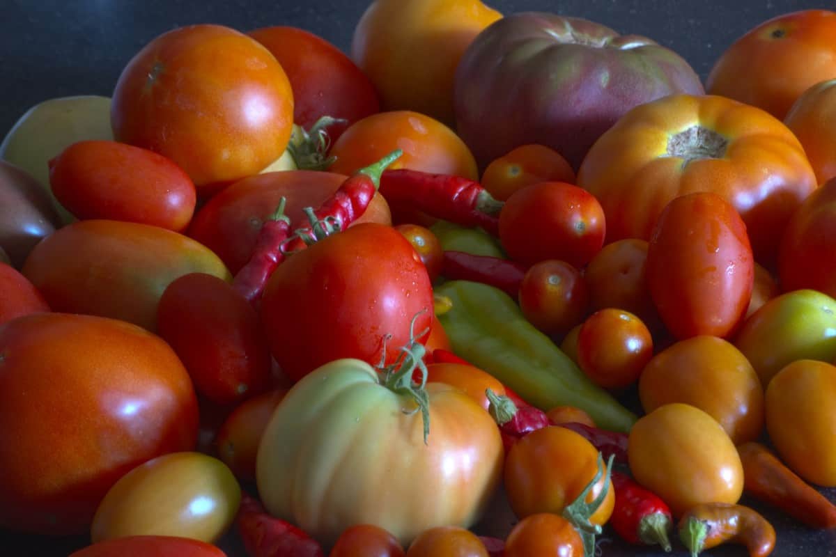 ¿Antojos de tomates durante el embarazo? Esto es lo que significa