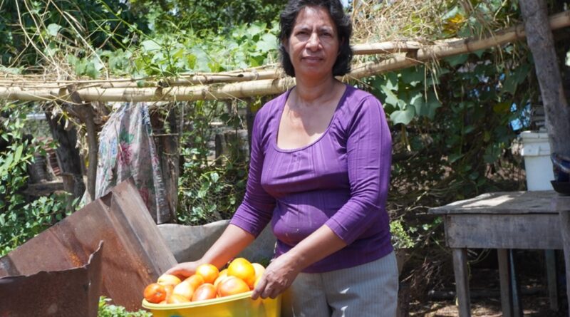 ¿Cómo proporcionan las mujeres alimentos a sus familias en Nicaragua?