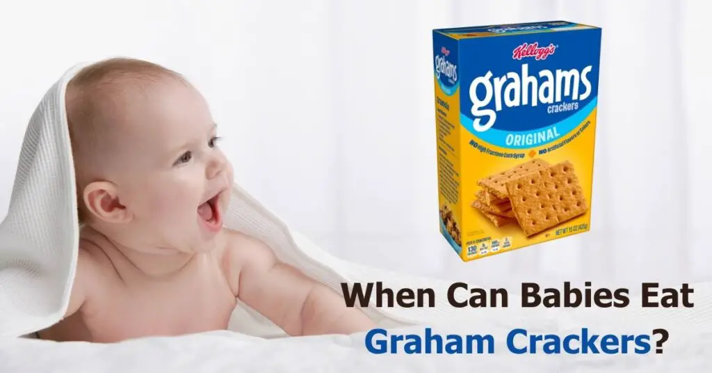 ¿Cuándo es seguro que los bebés coman galletas Graham y cómo presentarlas?