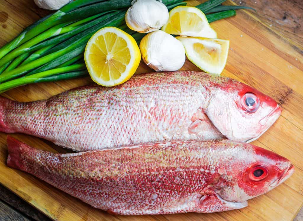 ¿Son seguros el pargo rojo u otros peces pargo durante el embarazo?